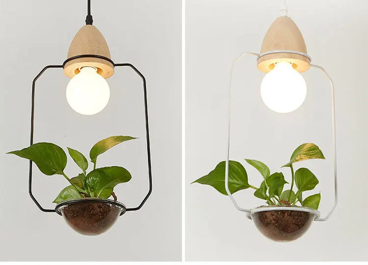 Tipo Hanging Plant Lighting