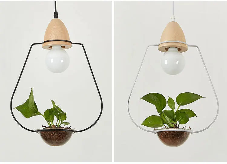 Tipo Hanging Plant Lighting