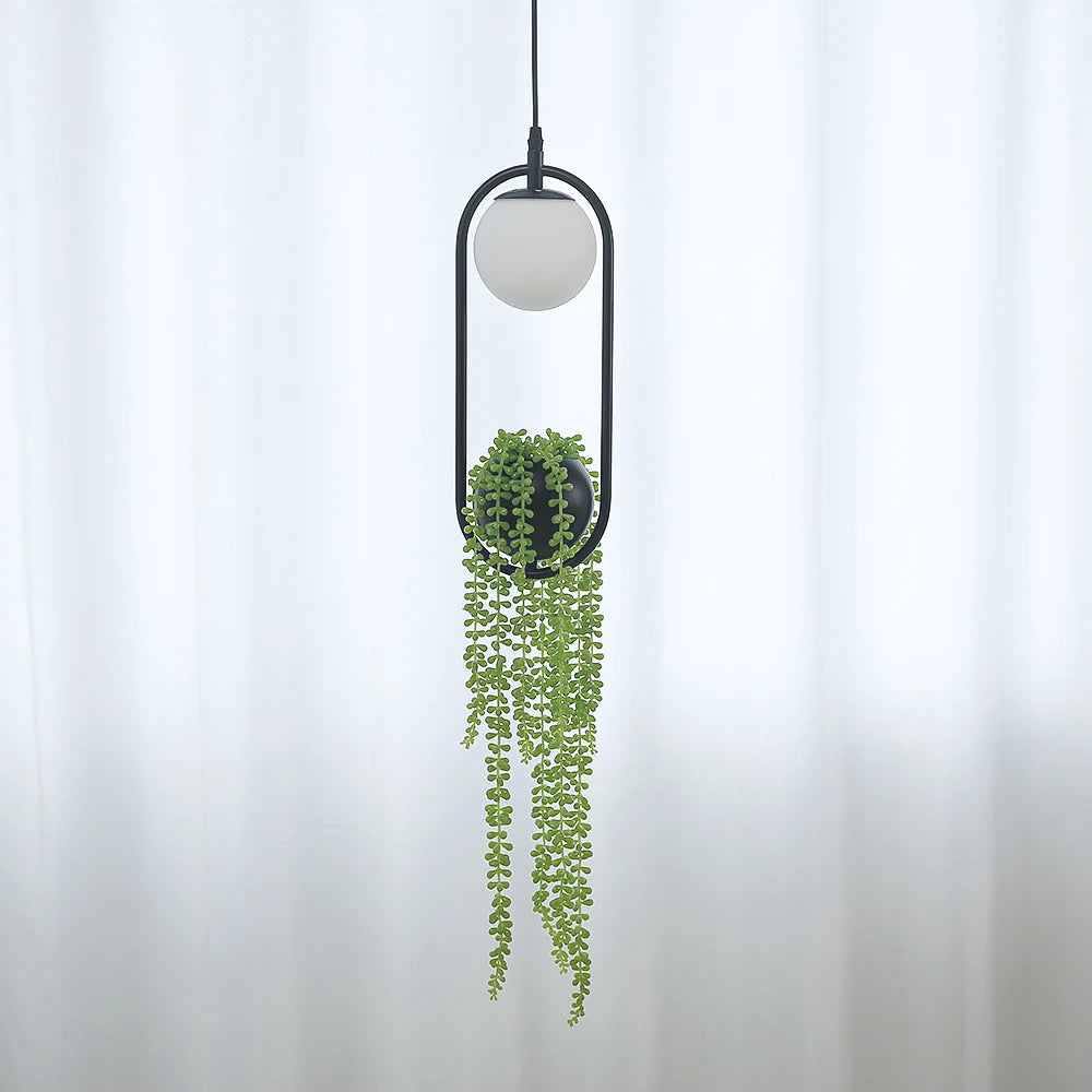 Onslow Hanging Plant Lighting