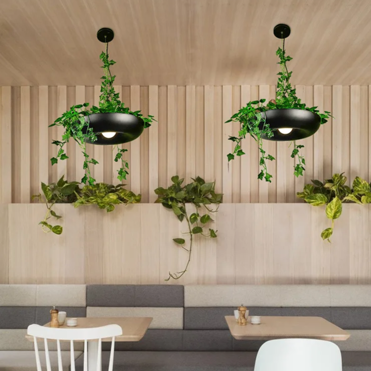 Solito Hanging Plant Lighting