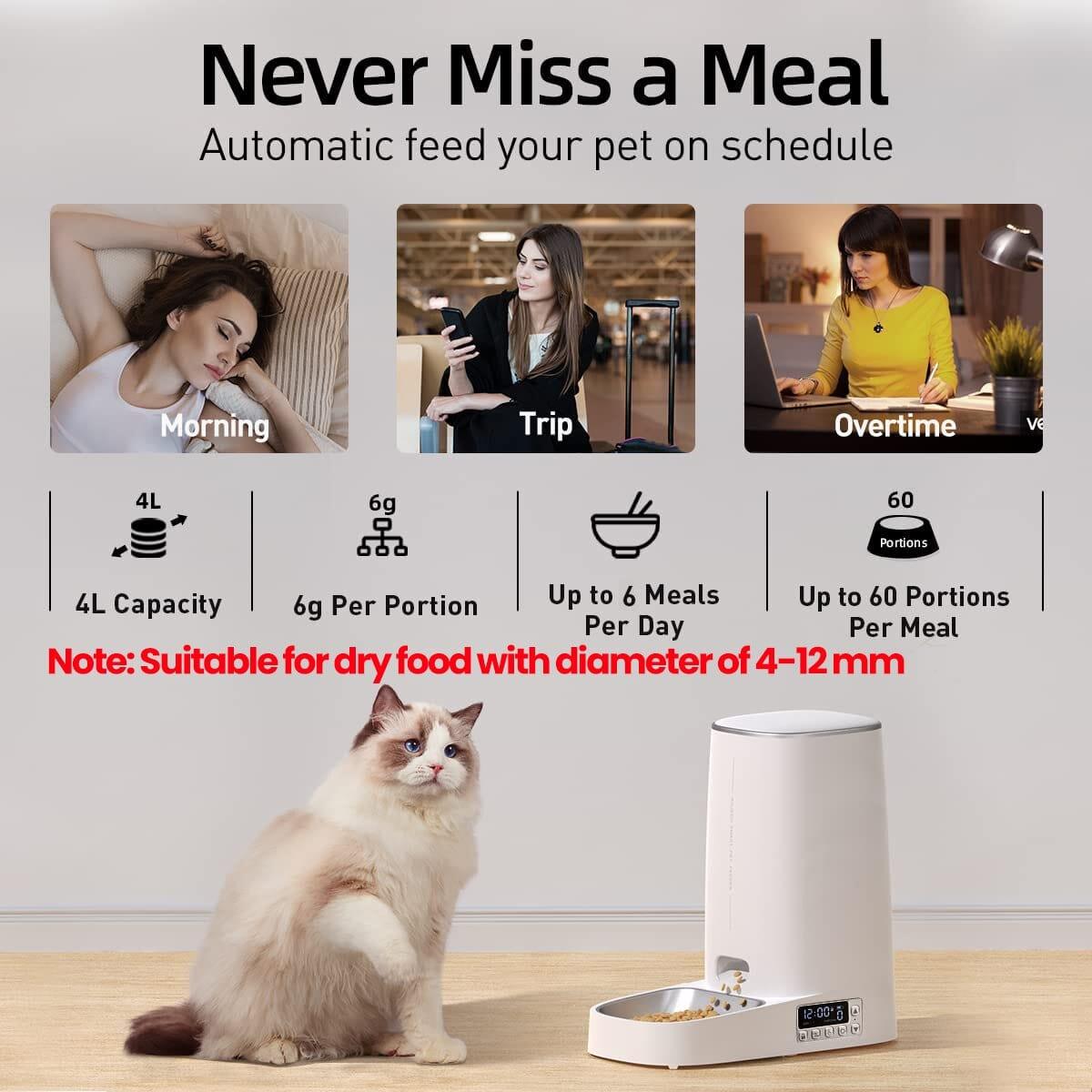 Shop 0 ROJECO Automatic Pet Feeder Smart Control Cat Food Dispenser Accessories Auto Pet Feeder For Cats Chats Dog Dry Food Feeding 4L Mademoiselle Home Decor