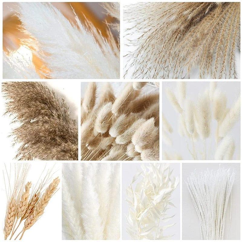 Shop 0 79Pcs Natural Dried Fluffy Pampas Grass Bouquet Set , Boho Home Decor Pompous Grass Large Reed Bunny Tail Wheat Stalk Decorative Mademoiselle Home Decor